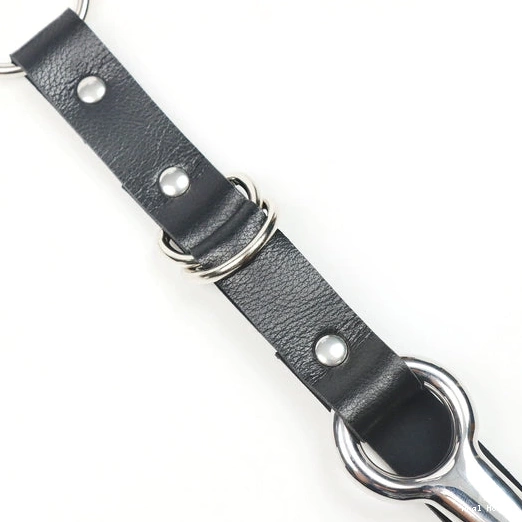 Anal Hooks Anal Hook 5853 EverydayUse Kinky and Leash Collar with 0830
